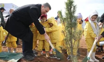 21 Mart Dünya Ormancılık