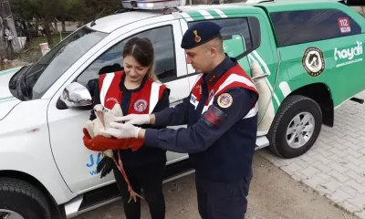 Isparta’nın Gönen ilçesine bağlı