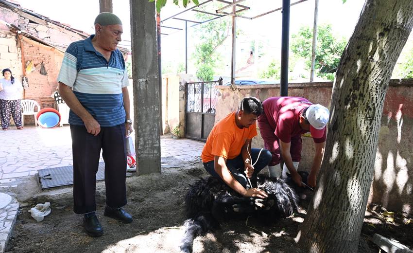 Isparta Belediyesi, 44 mahalle