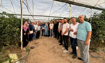 Isparta Deregümü Köyü’nde karanfil