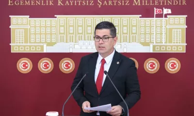 AKP’nin hazırladığı sokak hayvanlarına