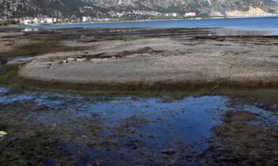 Isparta Uygulamalı Bilimler Üniversitesi