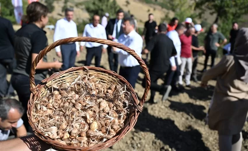 Isparta’da Tarım ve Orman