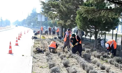 Isparta Belediyesi Park ve Bahçeler Müdürlüğü kış döneminde bakım çalışmalarına